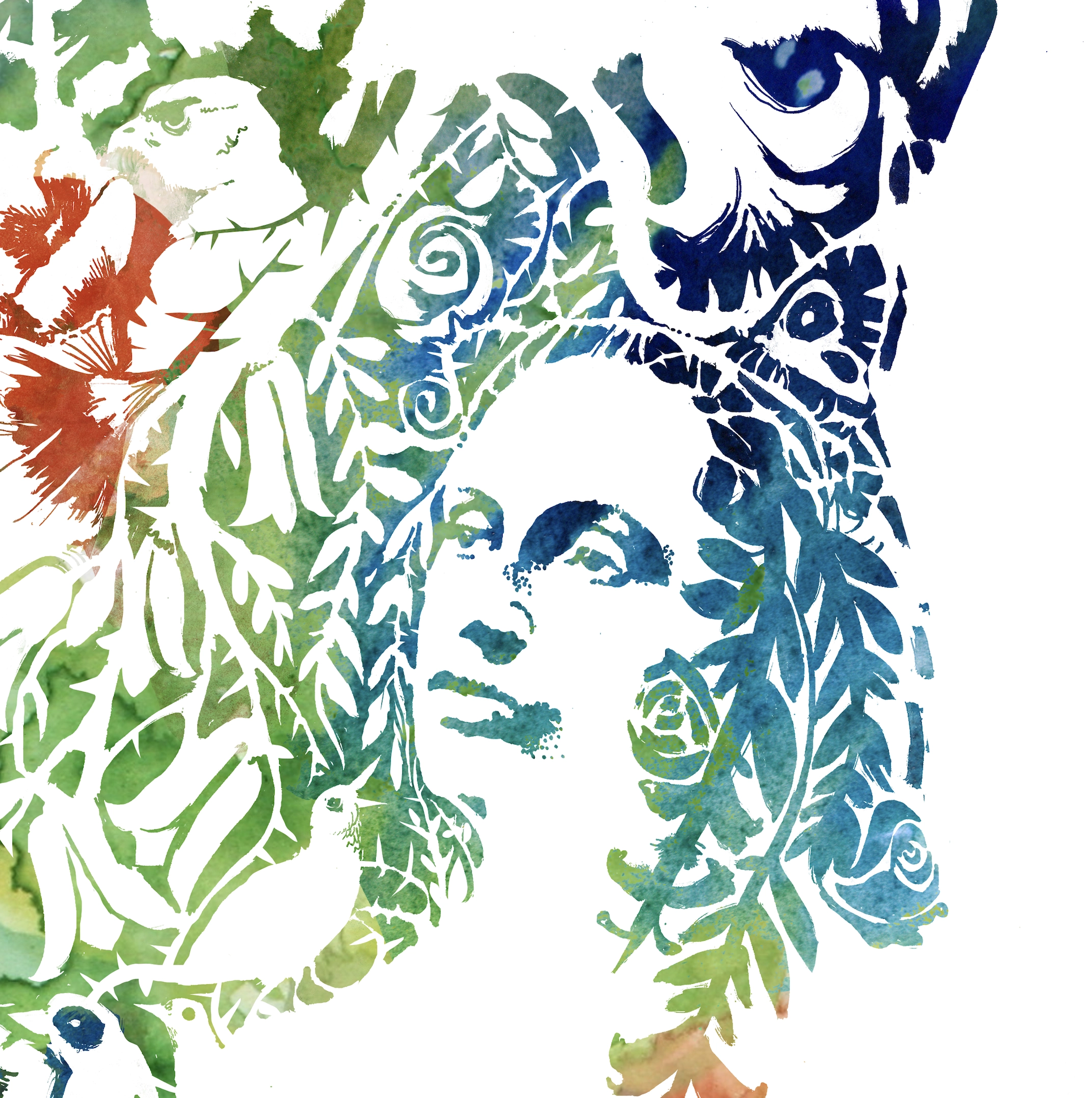 Violeta ilustrada