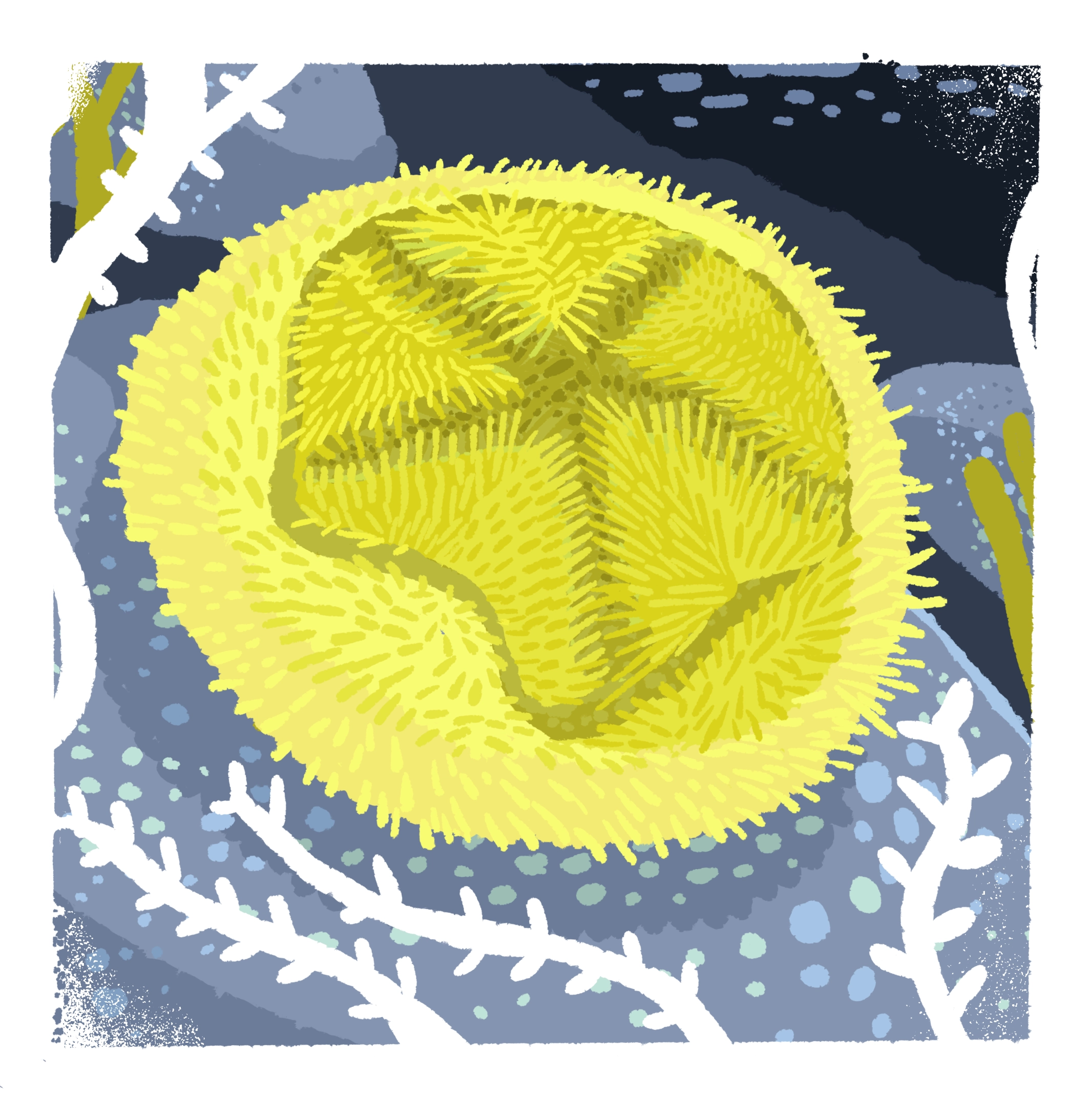 Sobre peces y Antártica