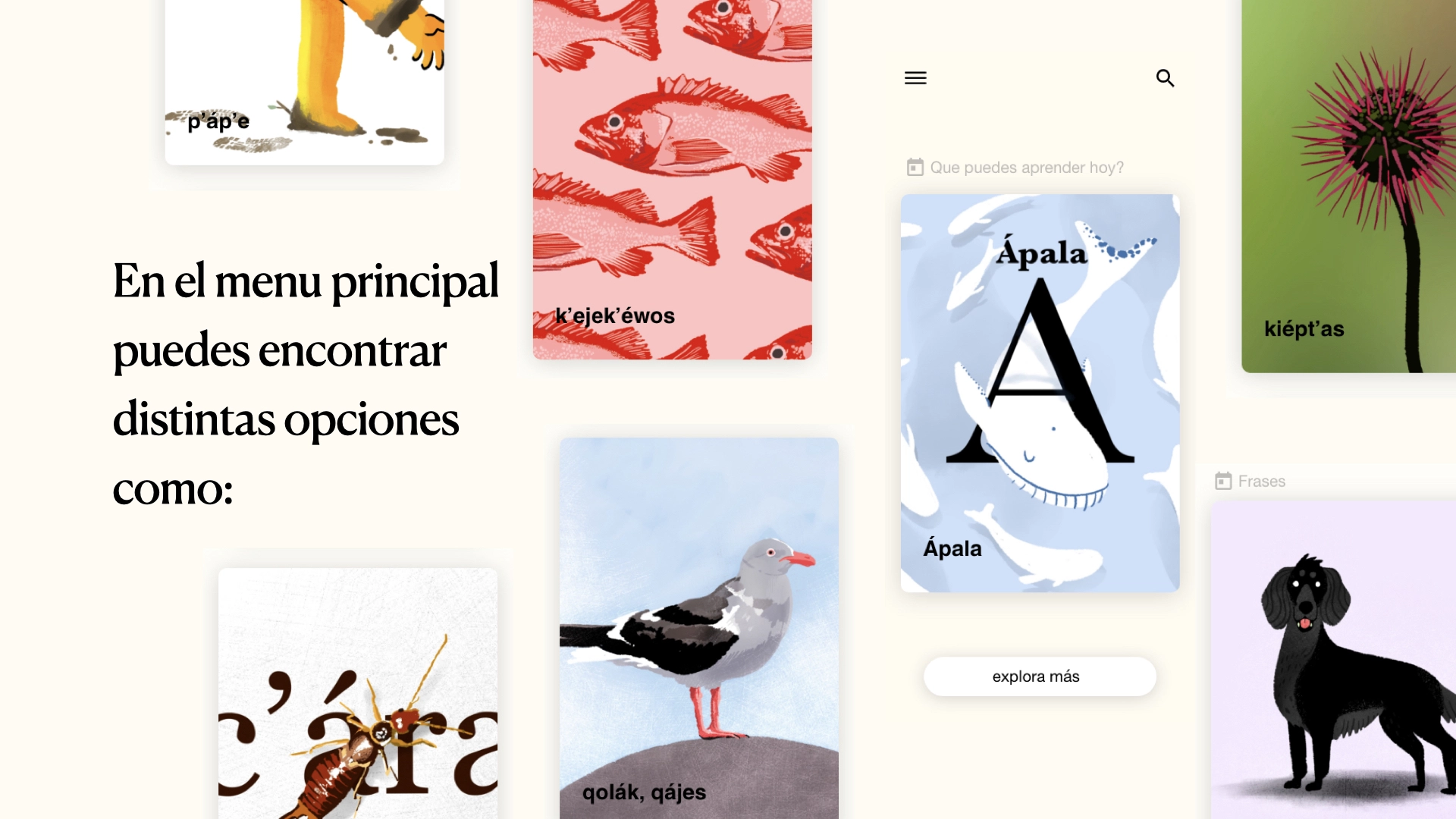 Aplicación aprendizaje de lengua kawésqar