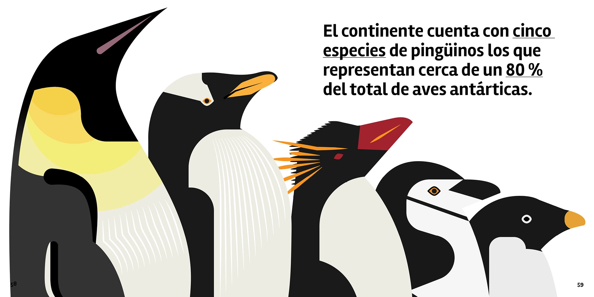 Antártica en Cifras (2a Edición) Serie Cifras