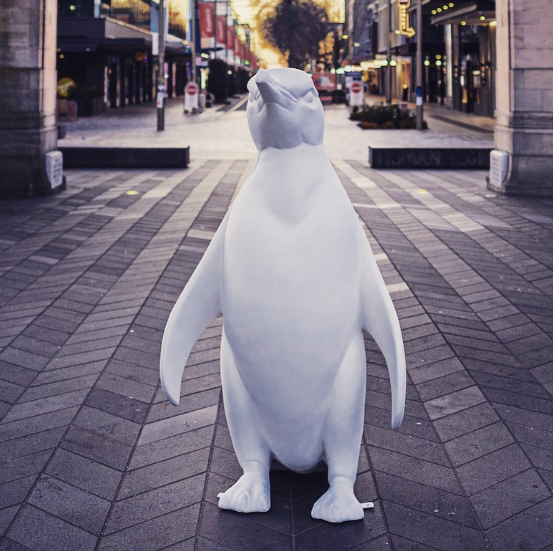 Penguin POPUPS Christchurch