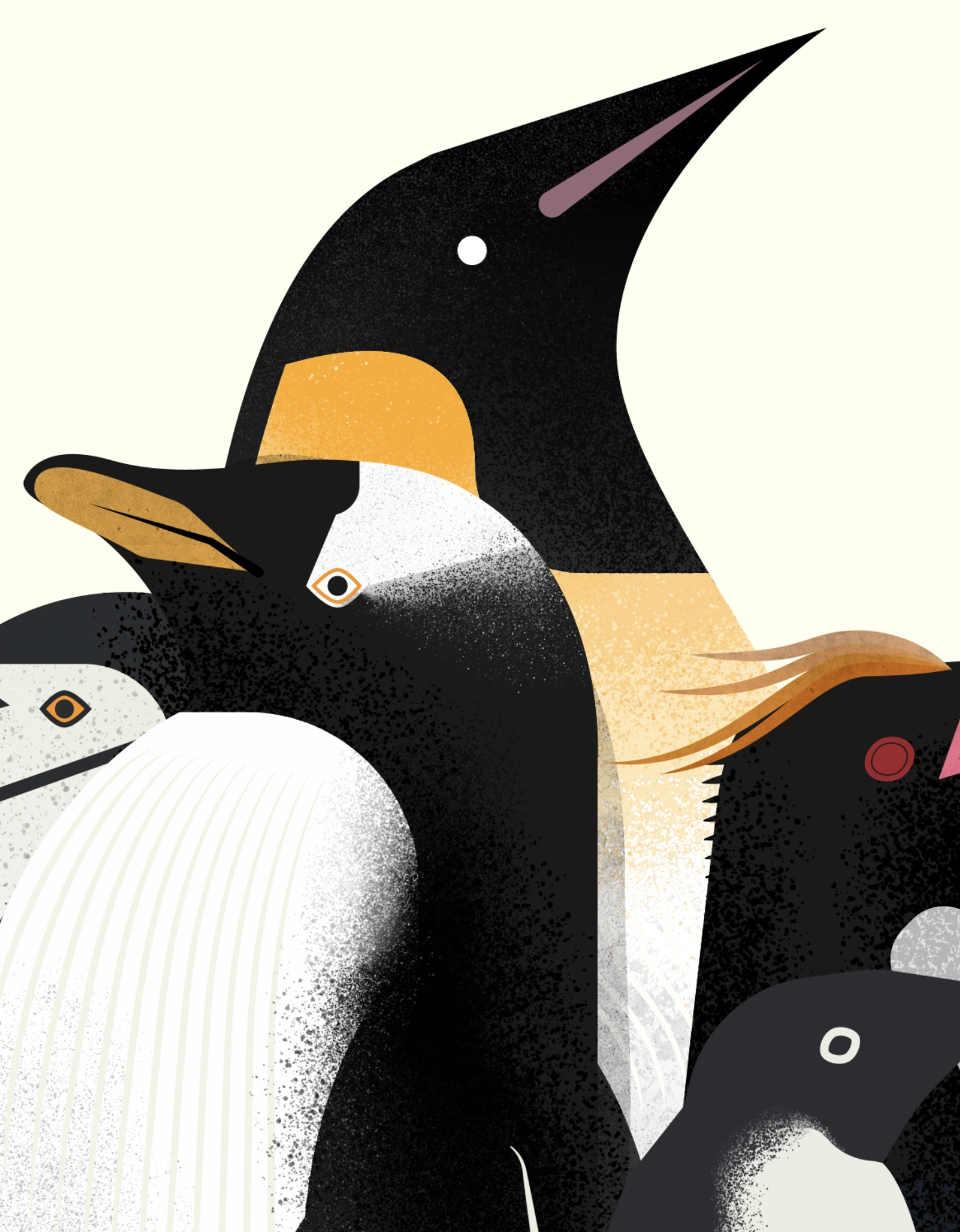 Poster de Fauna Antártica