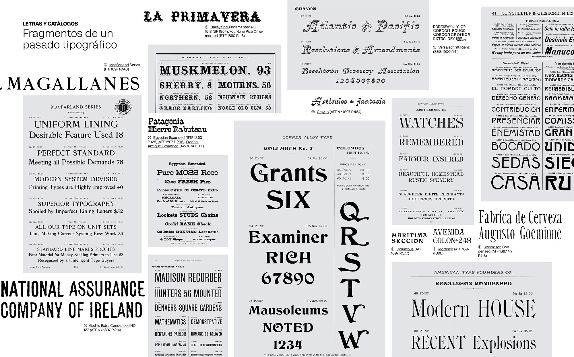 Catálogo tipográfico: 100 años de "El Magallanes"