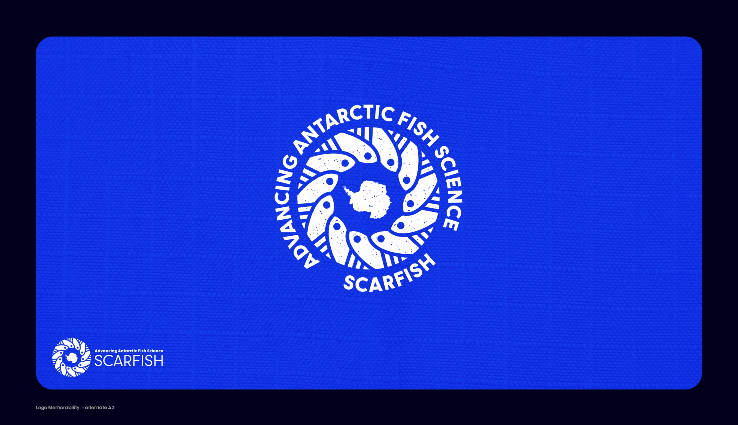 SCARFISH: marca para la colaboración científica del Océano Austral