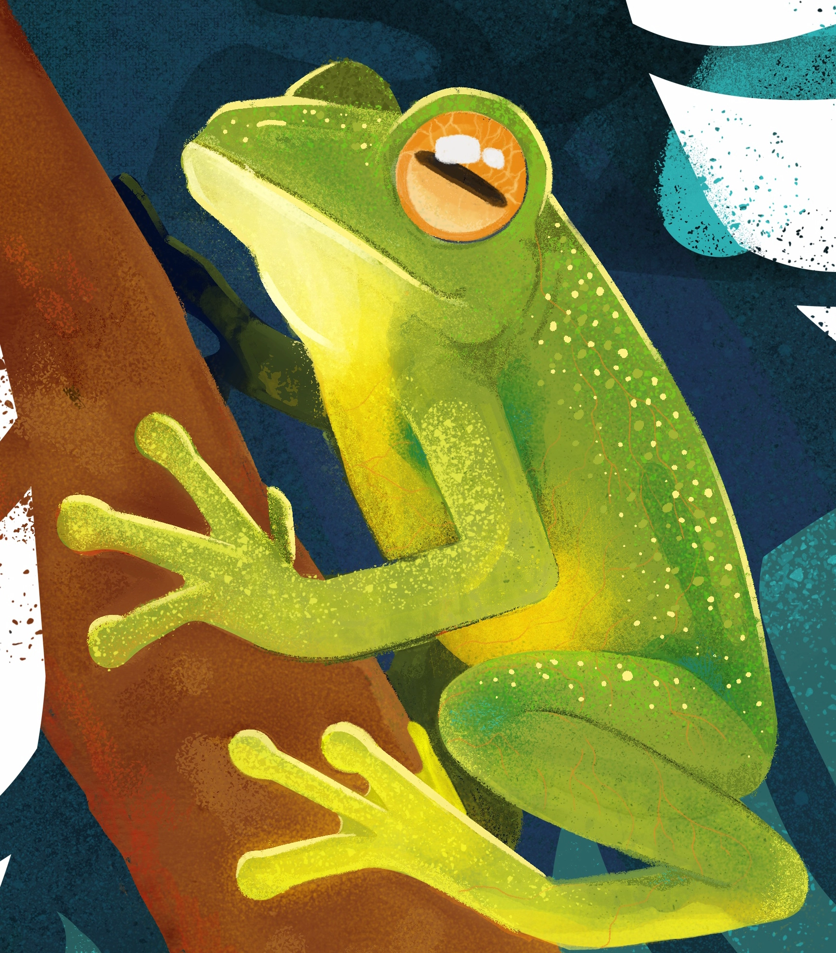 Ilustrando Ecuador, el país de las ranas