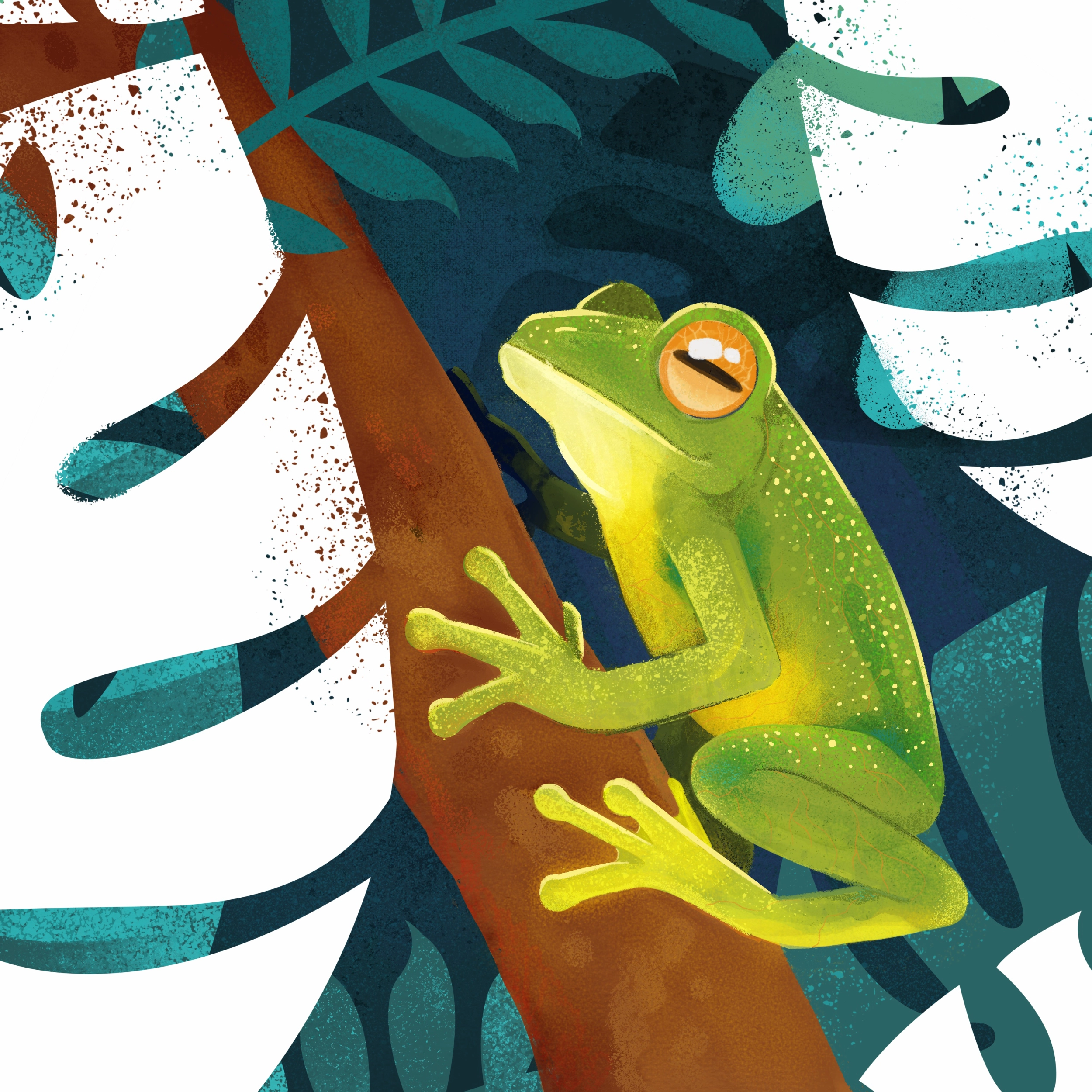Ilustrando Ecuador, el país de las ranas